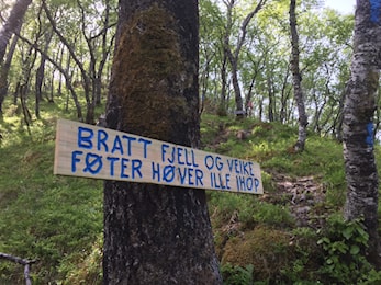 Påmelde Blåfelden 2018